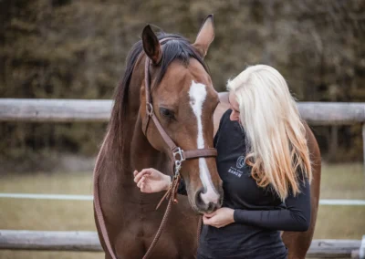 seminář výcviku koní — žena u hlavy koně, fotograf akcí | Jana H Foto