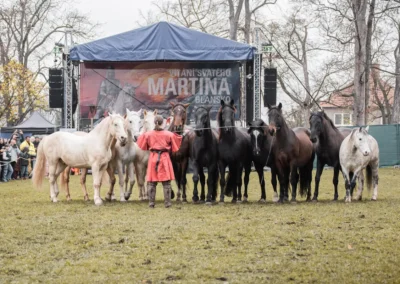 svatomartinský průvod v Blansku — koně před pódiem, fotograf akcí | Jana H Foto