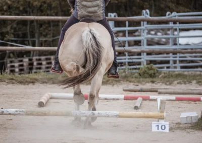 focení akcí a svateb, fotograf akcí | Jana H Foto