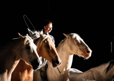 Detail bílého a plavého koně, galashow Kůň Pátý Element | Jana H Foto