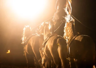 Jezdci v protisvětle ve zlatém kouři, galashow Kůň Pátý Element | Jana H Foto