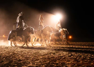 Stádo koní v pohybu ve zlatém světle, galashow Kůň Pátý Element | Jana H Foto